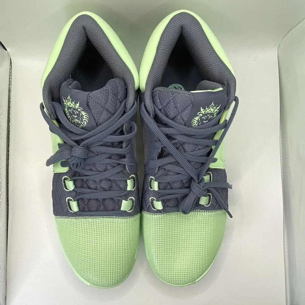 New Nike Lebron Witness 8 Basketball Vapor Green White Carbon SZ 12.5 FB2239 300